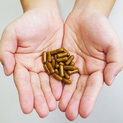 茶麹　62粒　30粒　2袋ずつセット 九州最大】100年続く老舗種麹蔵の麹商品通販サイト｜河内菌本舗